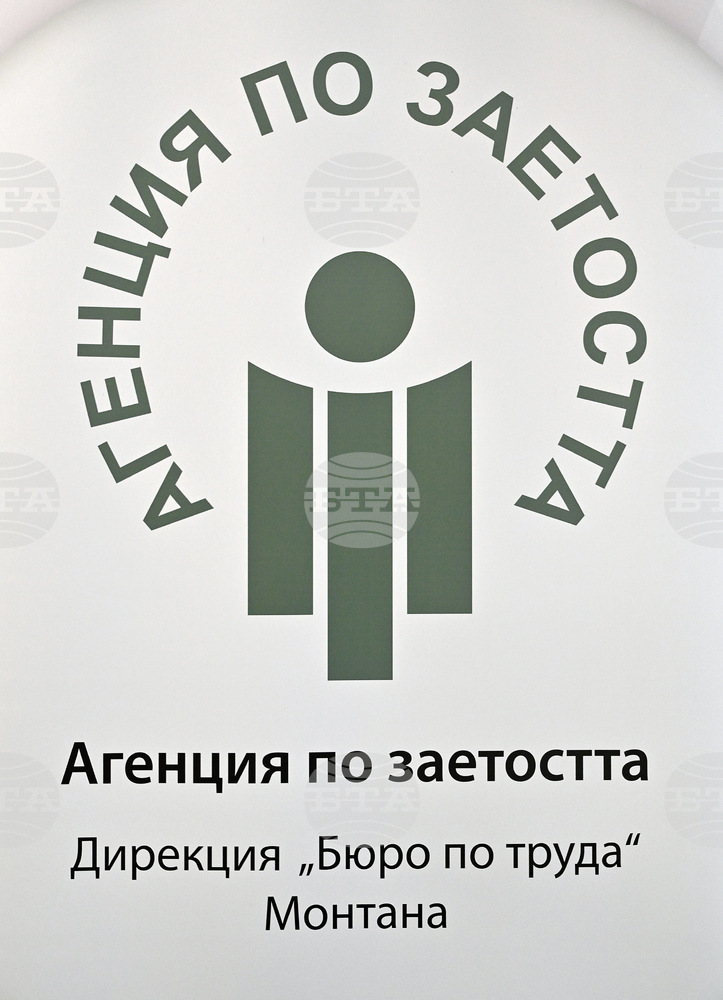 agenciq-po-zaetostta
